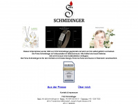 schmidinger.at Webseite Vorschau