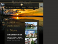 schmidinger-steyr.at Webseite Vorschau