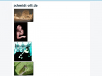 Schmidt-olli.de