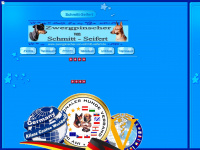 schmitt-seifert.de Webseite Vorschau