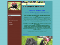 schnauzer-v-muldental.de Webseite Vorschau