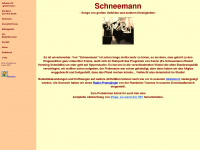 schneemann-im-netz.de Webseite Vorschau
