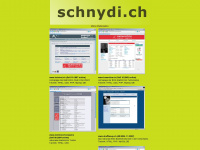 schnydi.ch Webseite Vorschau