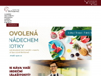 llb.cz Webseite Vorschau