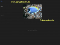 schucknecht.de Webseite Vorschau