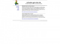 schueler-gym-don.de Webseite Vorschau