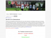 mgs-del.de Webseite Vorschau