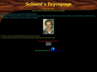 schumi-berlin.de Webseite Vorschau