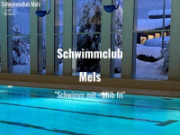 scmels.ch Webseite Vorschau