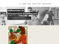 scorpiongym.ch Webseite Vorschau