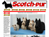 scotch-pur.de Thumbnail