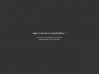scoutstabio.ch Webseite Vorschau