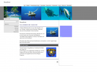 seadiver.ch Webseite Vorschau