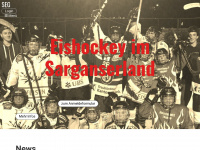 Seg-eishockey.ch