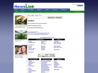 newslink.org Webseite Vorschau