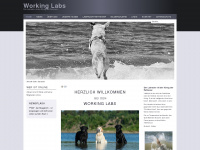working-labs.de Webseite Vorschau