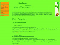 senfkorn-der-lebensladen.de Webseite Vorschau