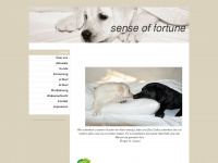 sense-of-fortune.de Webseite Vorschau