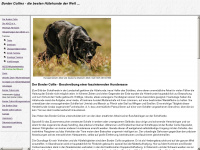sheepdogs.de Webseite Vorschau