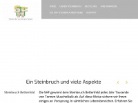 shf-steine.de Webseite Vorschau