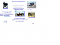 shire-horse.de Webseite Vorschau