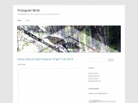 triangularbirds.wordpress.com Webseite Vorschau