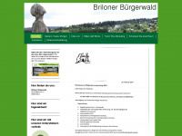briloner-buergerwald.com Webseite Vorschau