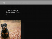 beyer-rottweiler-fotografie.de