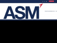 asm-global.com Webseite Vorschau