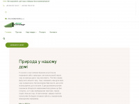 budmag.ua Webseite Vorschau