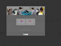 pinguins.info Thumbnail