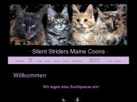 silent-striders.de Webseite Vorschau