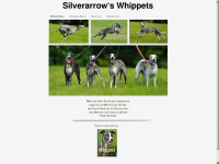 silverarrows-whippets.de Webseite Vorschau