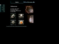 silverhouse.de Webseite Vorschau