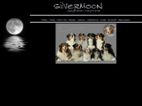 silvermoon-aussies.de Webseite Vorschau