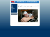 simsonfreunde-burgenland.de Webseite Vorschau
