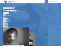 littlecms.com Webseite Vorschau