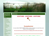 skbz-nb.de Webseite Vorschau
