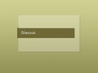sliwczuk.de Webseite Vorschau