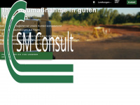 sm-consult.de Webseite Vorschau