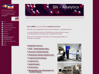 sn-analytics.de Webseite Vorschau