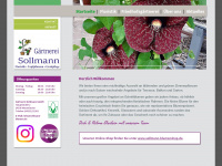 sollmann-blumen.de Webseite Vorschau