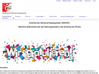 solothurner-choere.ch Webseite Vorschau