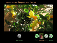 sonn-home.de Webseite Vorschau
