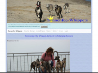 sonnenfee-whippets.de Webseite Vorschau