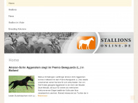 stallions-online.de Webseite Vorschau