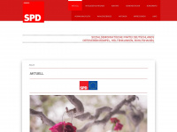 spd-ruempel.de Webseite Vorschau