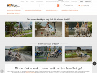 ambringa.hu Webseite Vorschau