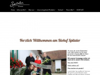 spitaler.at Webseite Vorschau
