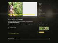 sporthunde-vom-vollblutarabergestuet.de Webseite Vorschau